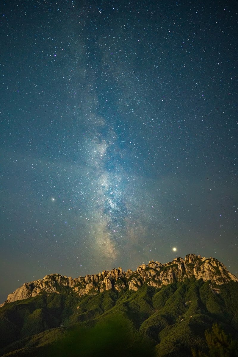 Starlit Sky