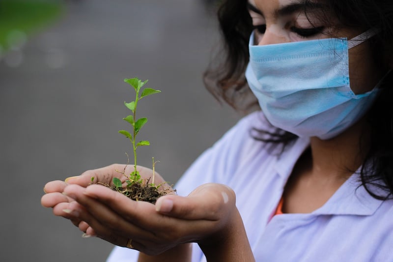 Tree Planting Ceremony
